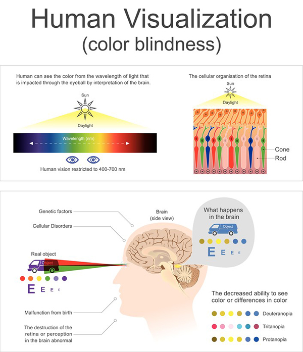 colour blindness chart